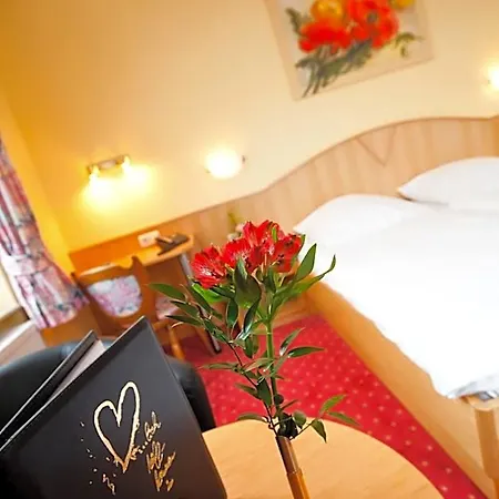 Hotel Zwei Mohren 3*